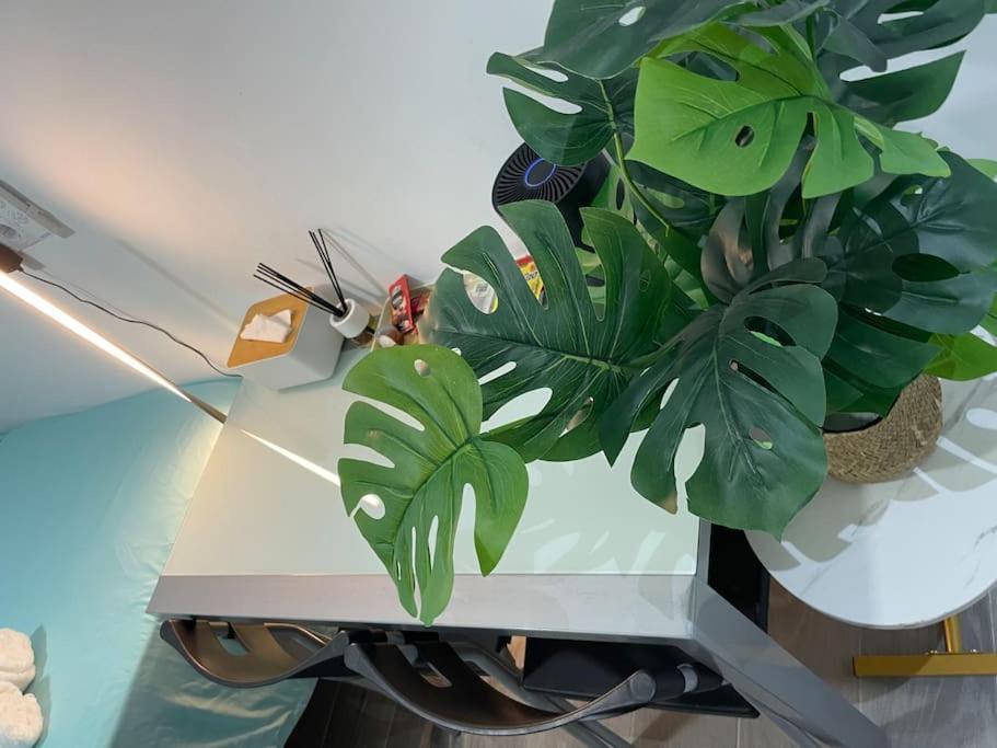 Acogedor Estudio D Junto A Metro Apartment Madrid Luaran gambar